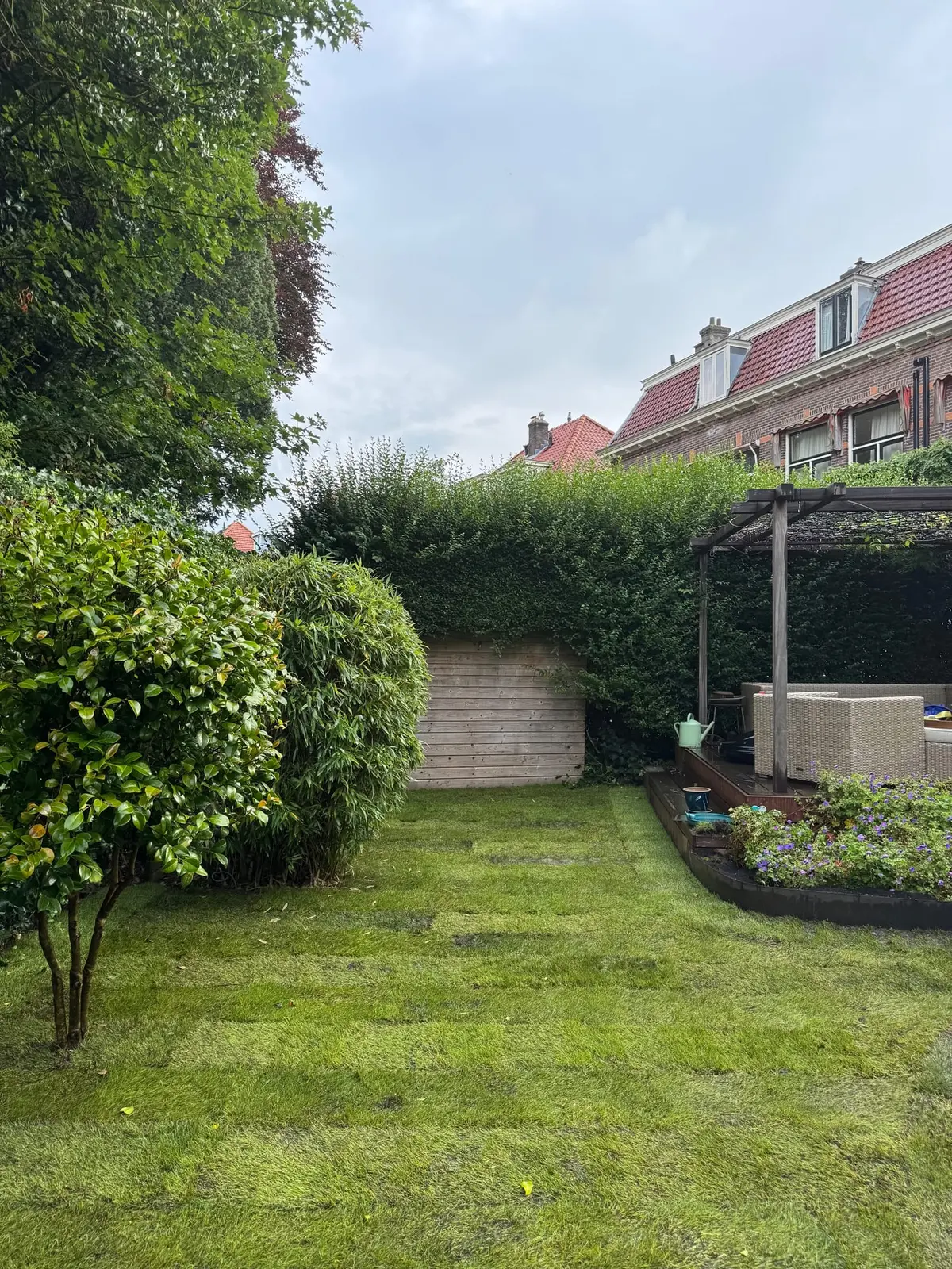 Nieuw gazon met borders en cortenstalen randen in Bussum