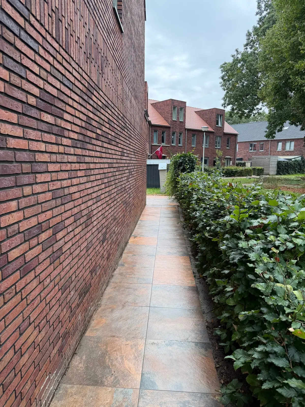 Bestraat pad langs de zijgevel van de woning