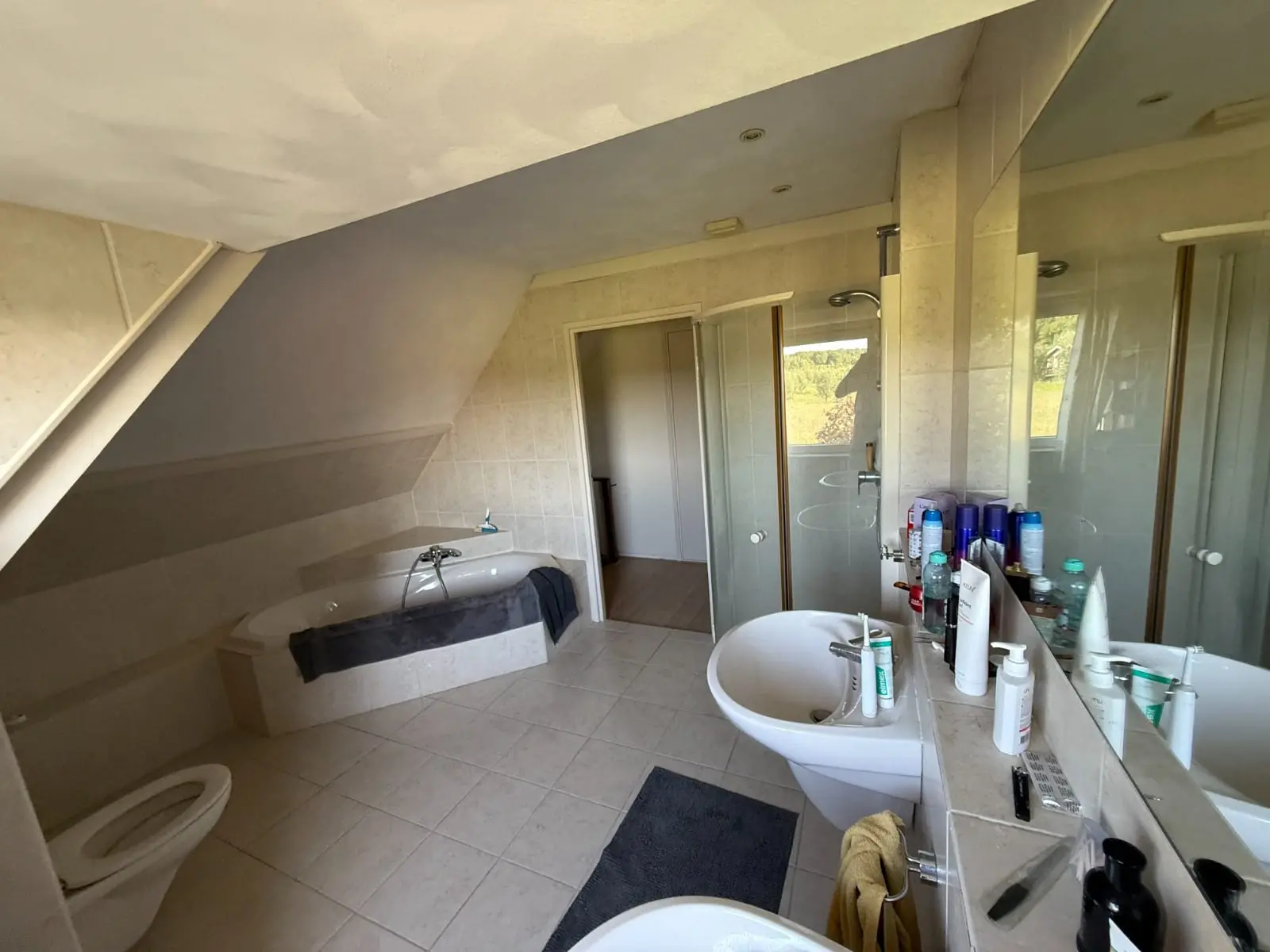 Douche en wastafel in de badkamer vóór de verbouwing